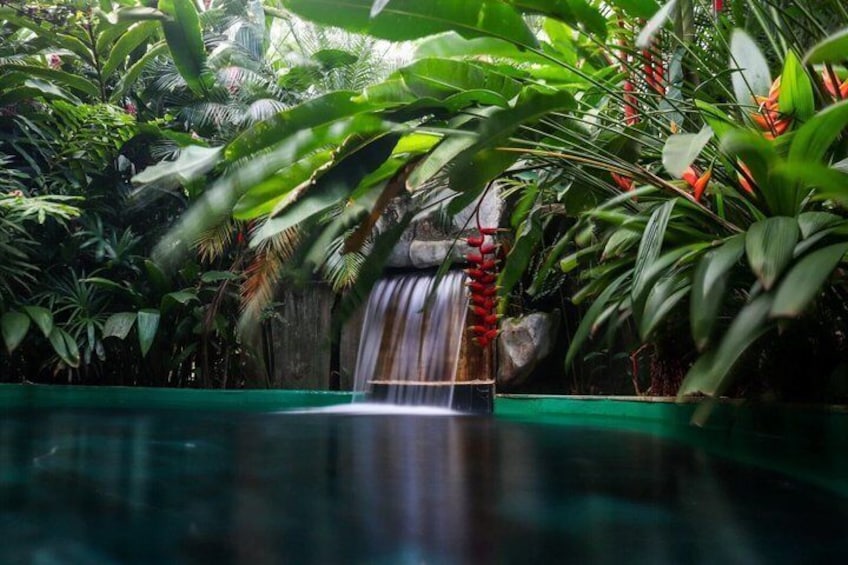 Arenal Hot Springs + Arenal Volcano from San Jose with Lunch 1