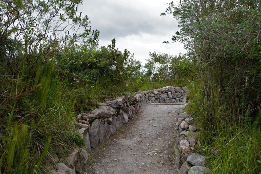 Un sentier étroit et rocailleux, bordé d’une végétation dense et d’un mur de pierres. 4