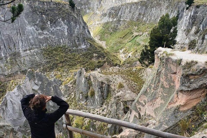 A person standing on a rocky outcrop with a railing, overlooking a canyon with steep cliffs and sparse vegetation. 4