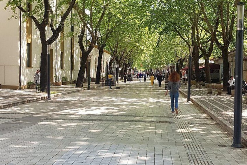 A tree-lined pedestrian street with people walking and cycling. 5