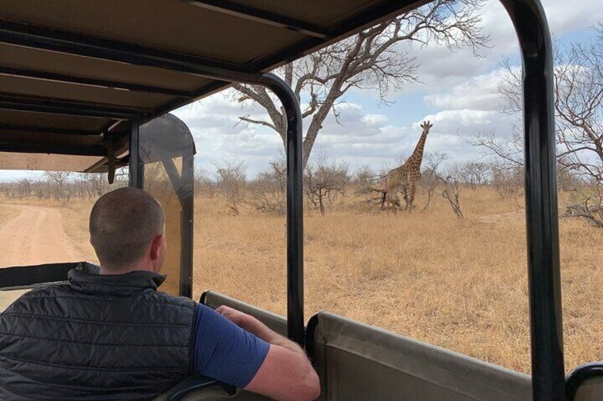 Kruger National Park Morning Game Drive