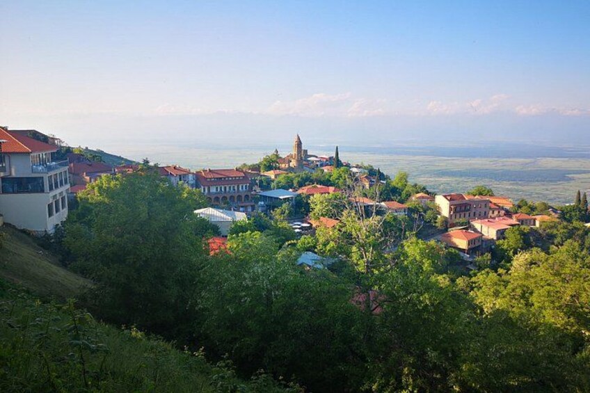 A town with buildings, trees, and a distant view of the sea. 2