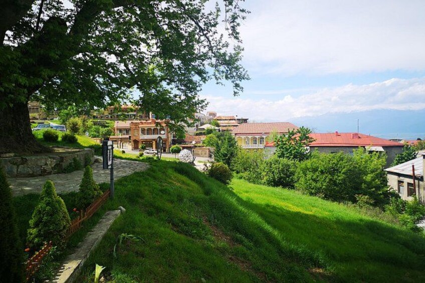 A residential area with houses, a large tree, and a clear sky. 4