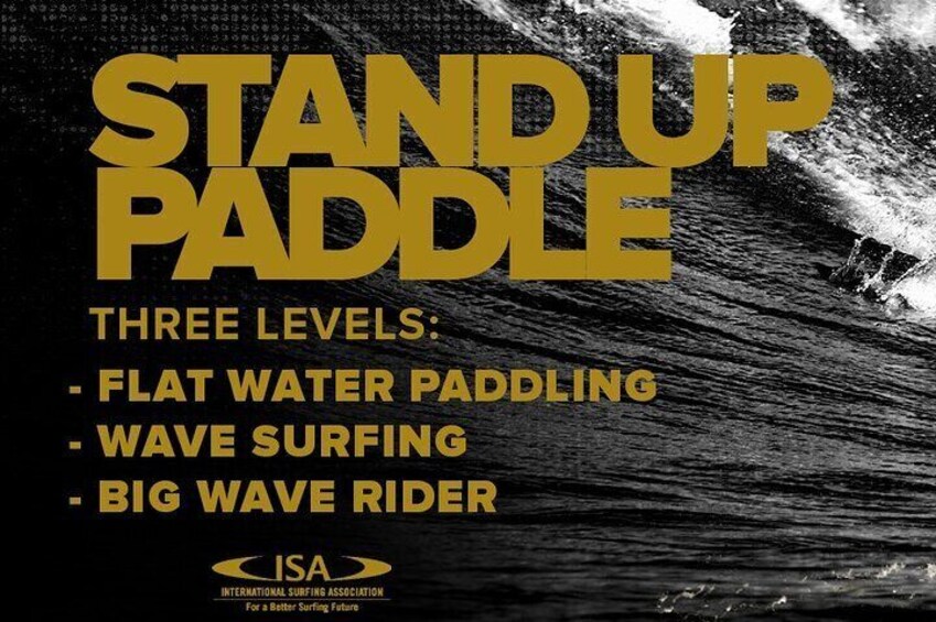 A stand-up paddleboard with text describing three levels: flat water paddling, wave surfing, and big wave rider. 5