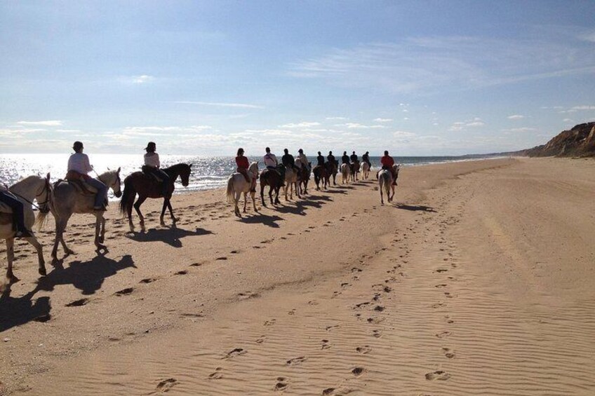 Horse riding through Doñana and visit El Rocio