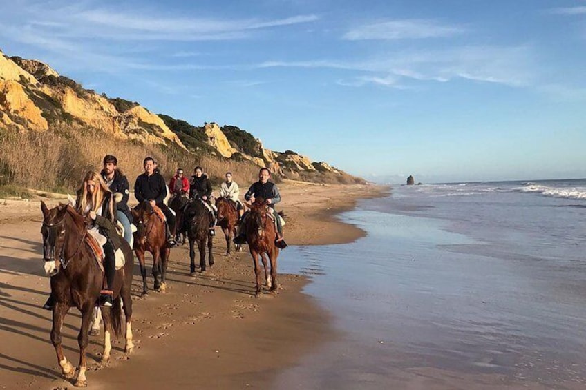 Horse riding through Doñana and visit El Rocio