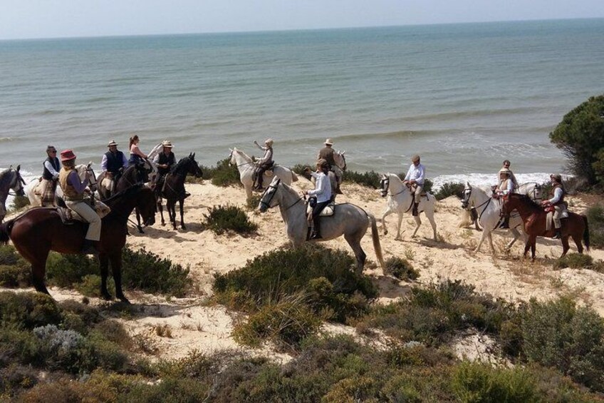 Horseback riding tour of Doñana and visit of El Rocio 2