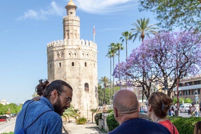 Walking tour through the monumental and historical area of Seville 1