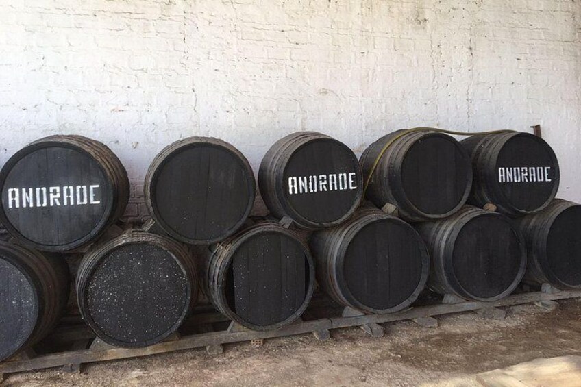 Wine tourism, visit to a traditional winery and wine tasting 3