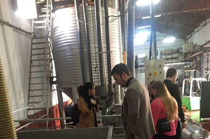 Wine tourism, visit to a traditional winery and wine tasting 2