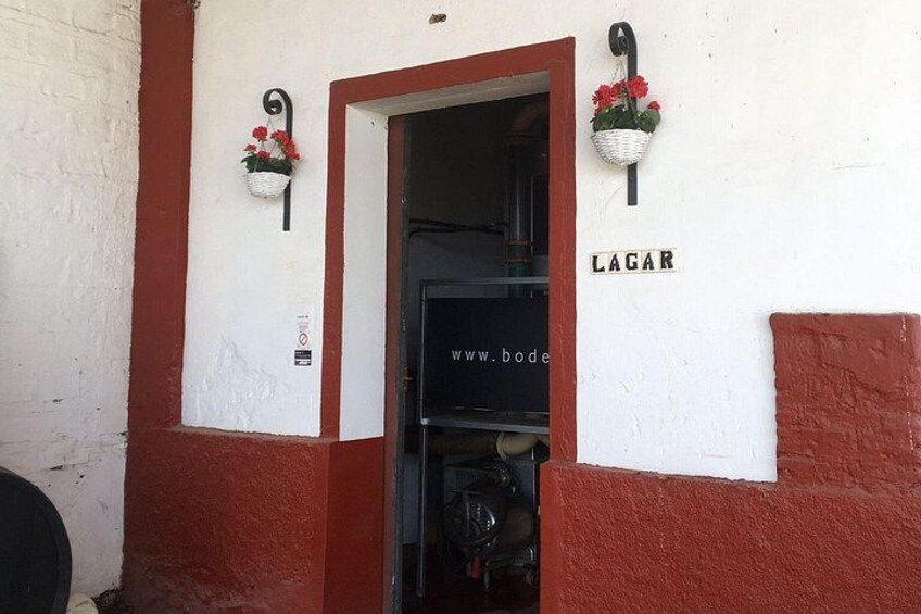 Wine tourism, visit to a traditional winery and wine tasting 4