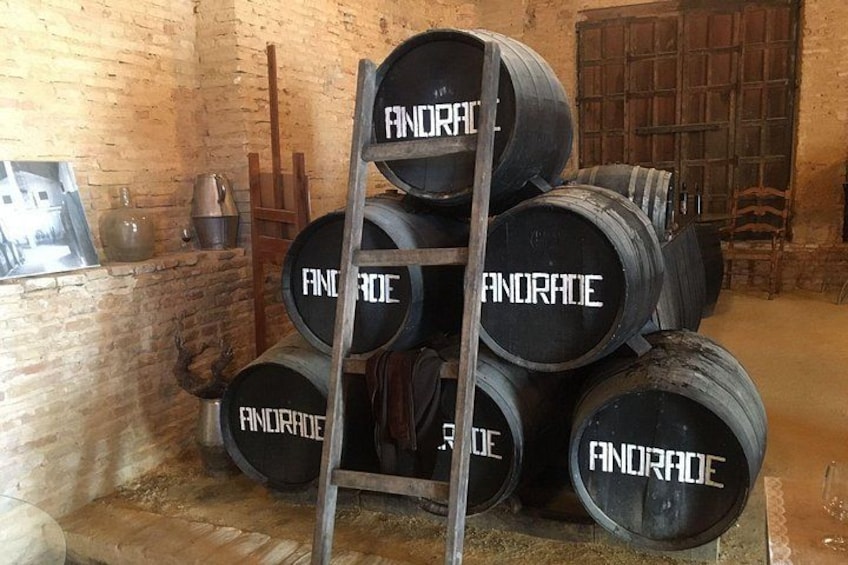 Wine tourism, visit to a traditional winery and wine tasting 5