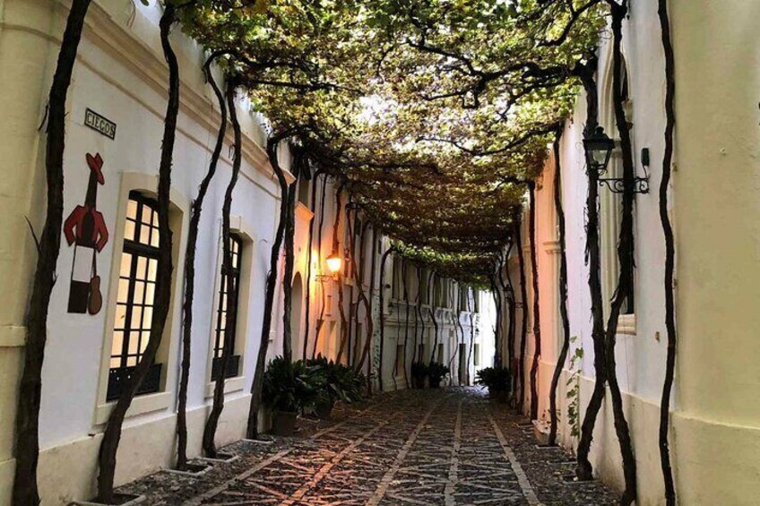 Jerez Winery Tour and wine tasting