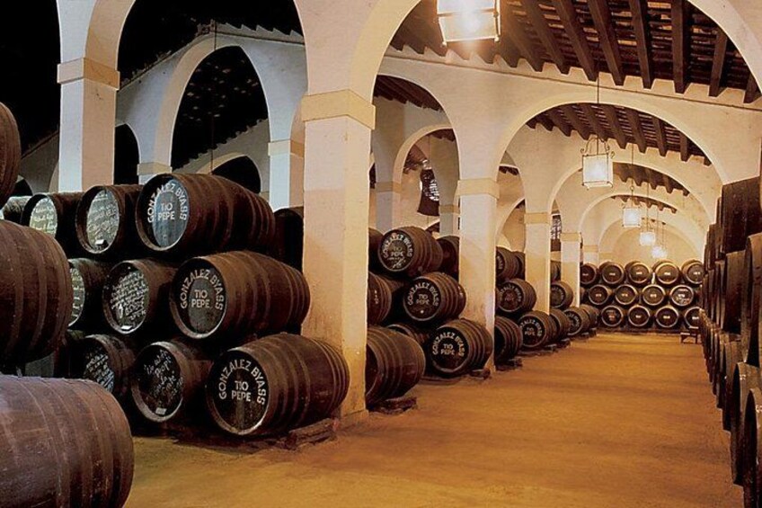 Jerez Winery Tour and wine tasting 3