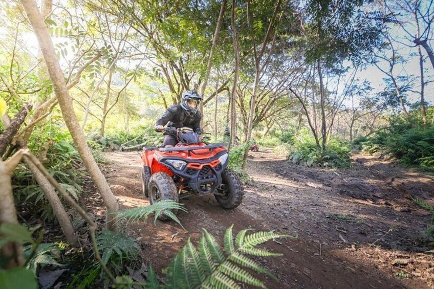 ATV tours thailand 3