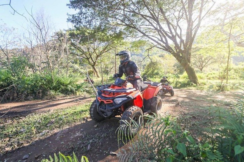 8Adventure's best ATV 4