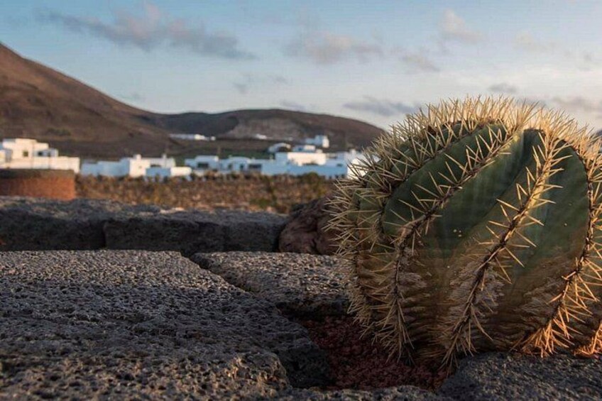 Bus Tour North Lanzarote with Lunch 2