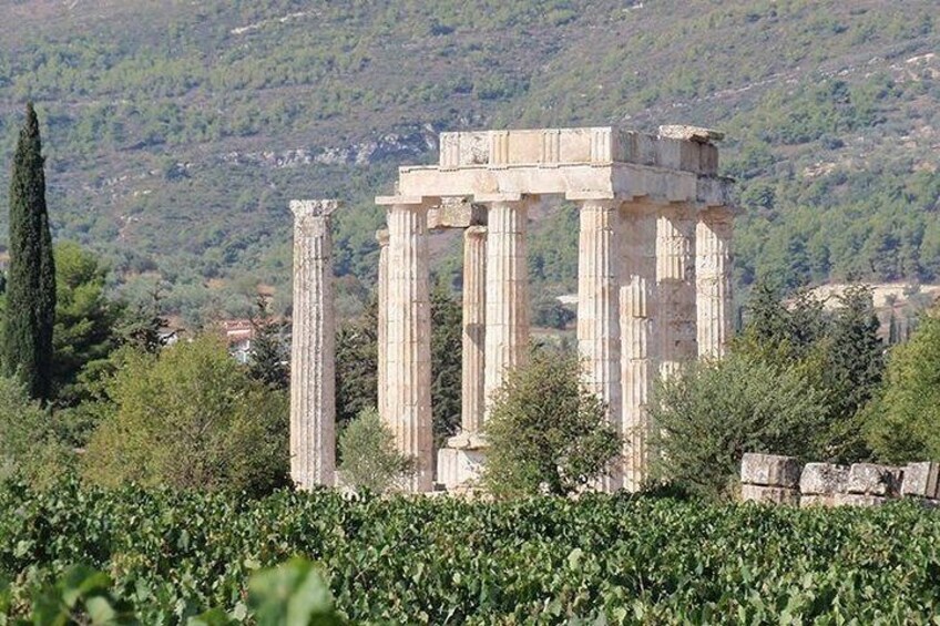 1. Wine Tour Nemea: The Lion of Nemea