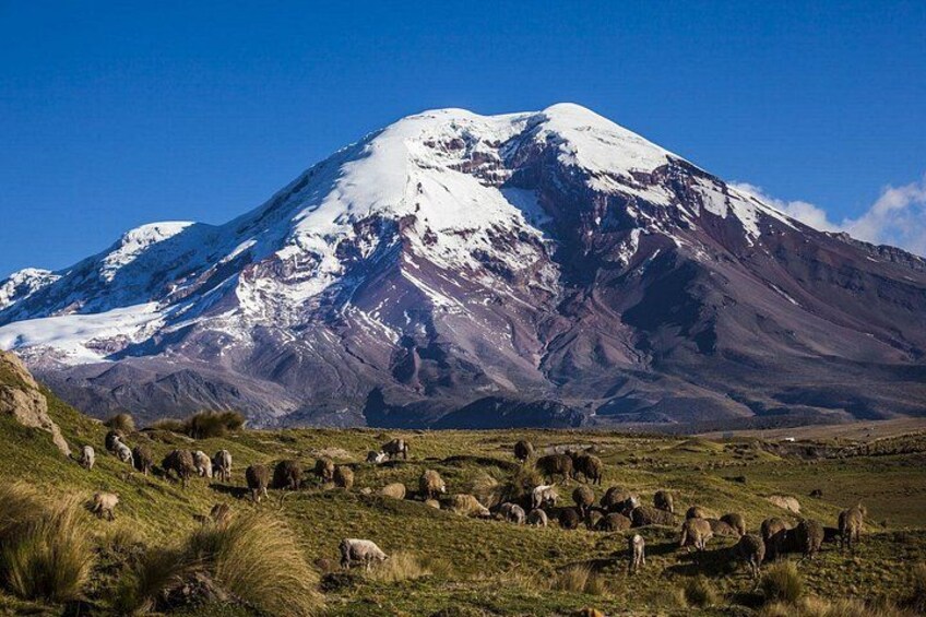 Adventure in Chimborazo: Hiking and Ascent from Quito 3