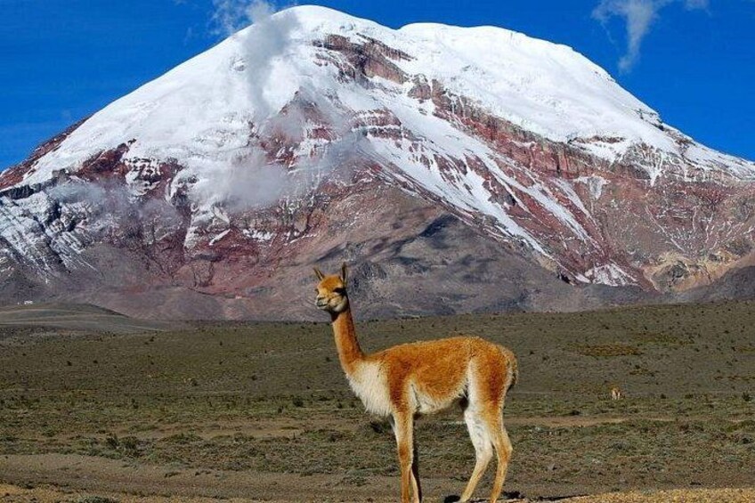 Adventure in Chimborazo: Hiking and Ascent from Quito 1