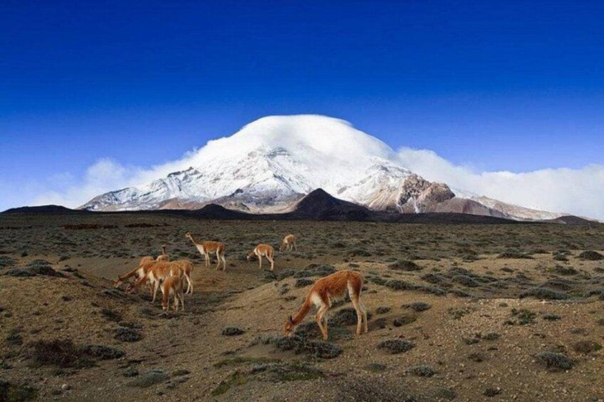 Adventure in Chimborazo: Hiking and Ascent from Quito 2