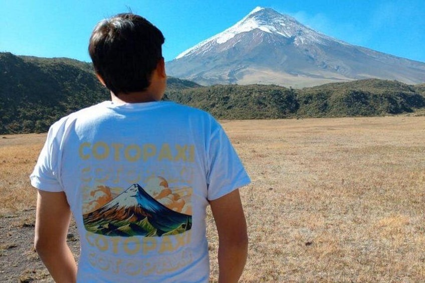 A person standing in a field with a mountain in the background. 2