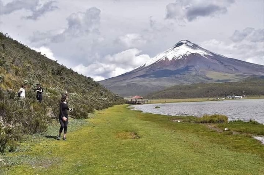 A grassy path beside a lake with a mountain in the background. 5