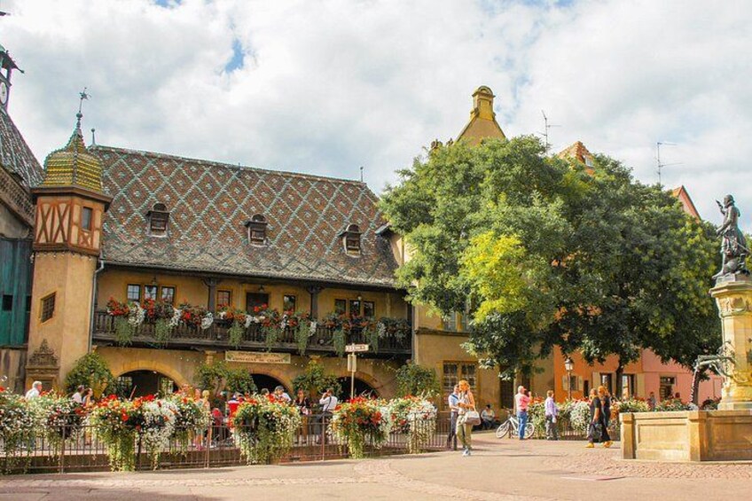 Colmar 5