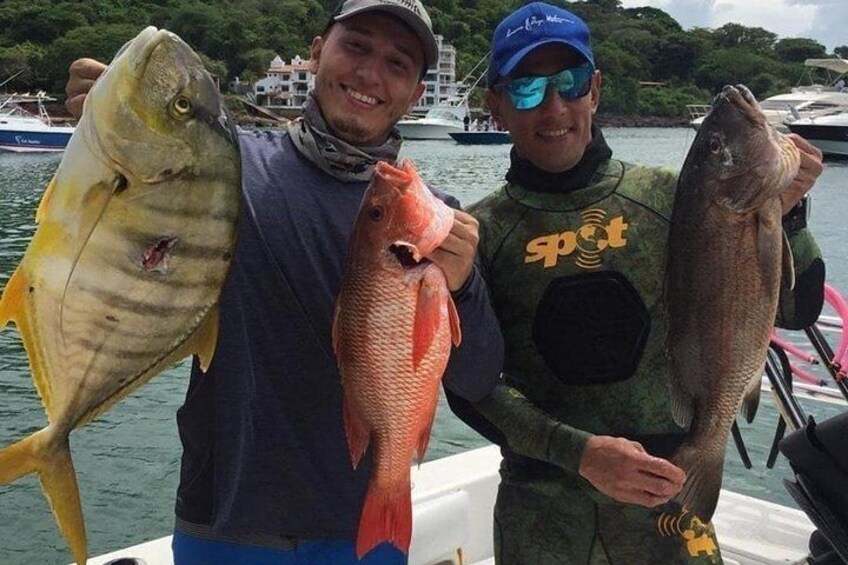 6-Hour High Sea Fishing in Gulf of Panama