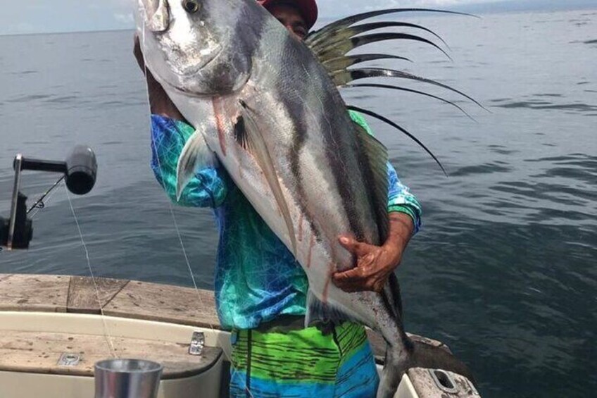 Rooster Fish