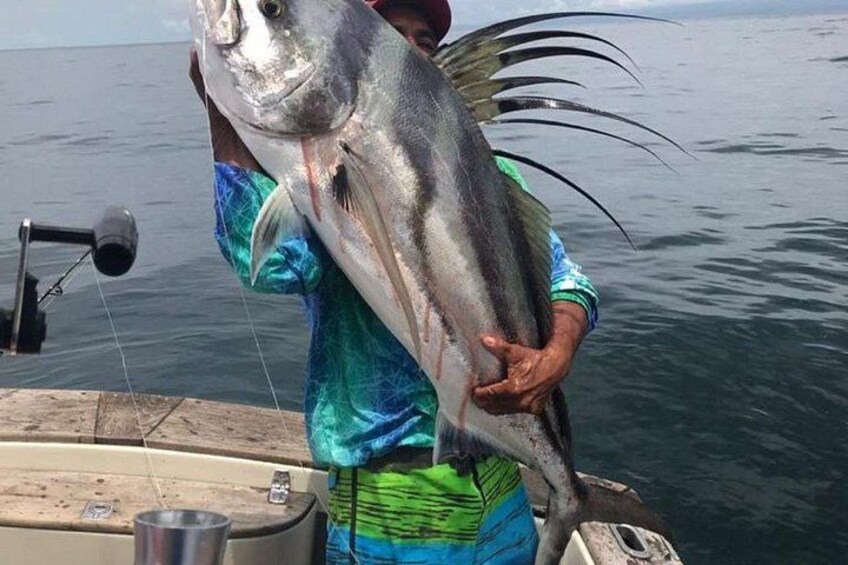 Rooster Fish 4