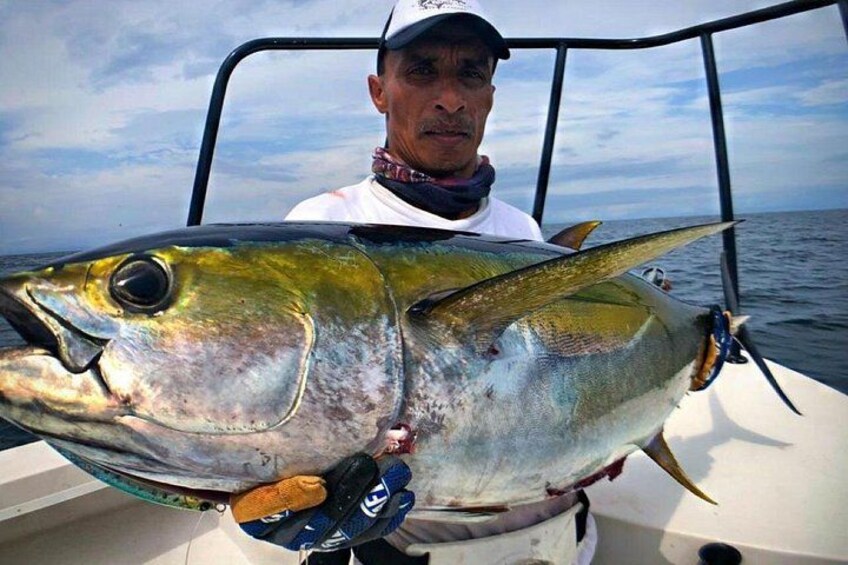 Tuna 3