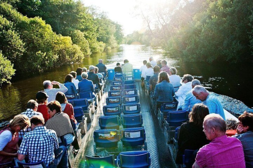 Une excursion en bateau où les passagers sont assis en rangées, entourés d’une végétation luxuriante. 1