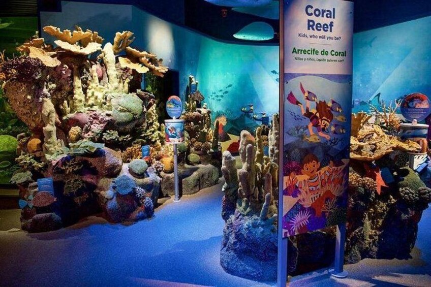New York Aquarium Admission 1