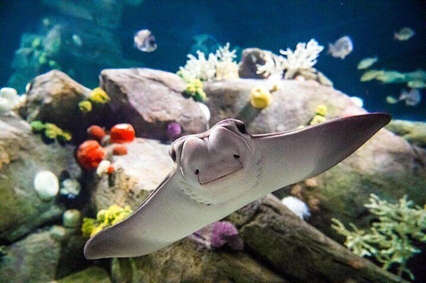 New York Aquarium Admission 3