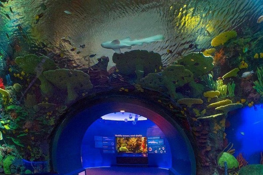 New York Aquarium Admission 2