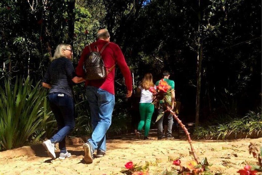 A group of people walking on a dirt path surrounded by dense foliage. 4