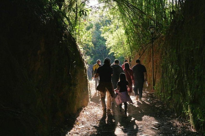 A group of people walking on a narrow path surrounded by dense foliage. 3
