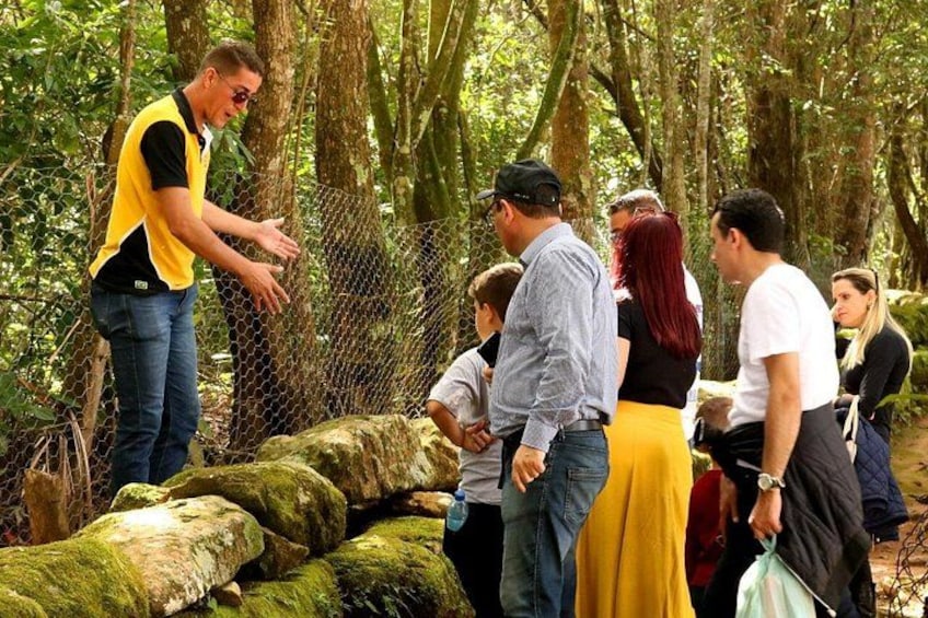 A group of people standing near a chain-link fence in a wooded area with large moss-covered rocks. 2
