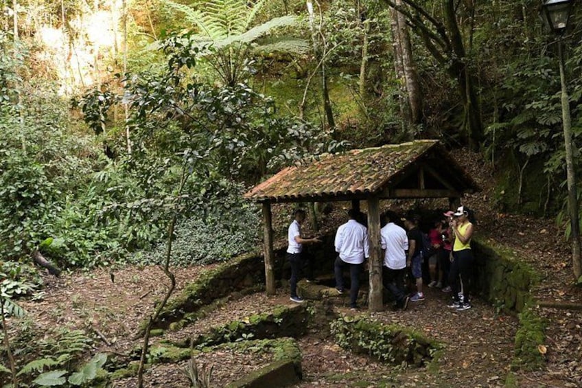 A group of people standing under a wooden shelter in a forested area with dense foliage and a small stream. 5