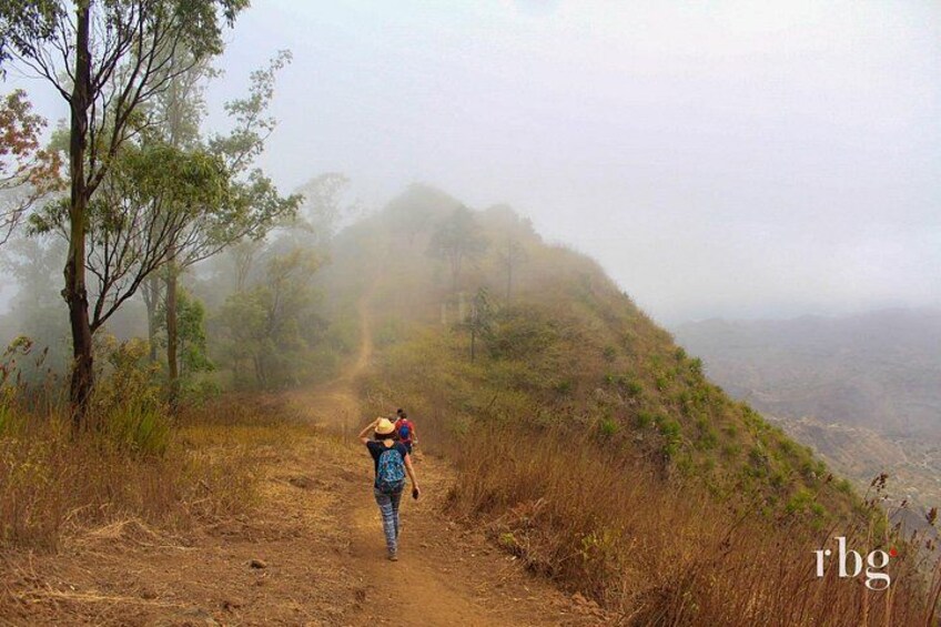 A person walking on a dirt path surrounded by trees and fog. 1