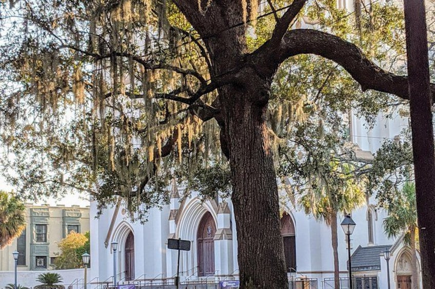 Savannah VIP Tour: Private Full-Day Tour 2