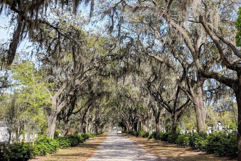 Savannah VIP Tour: Private Full-Day Tour 5