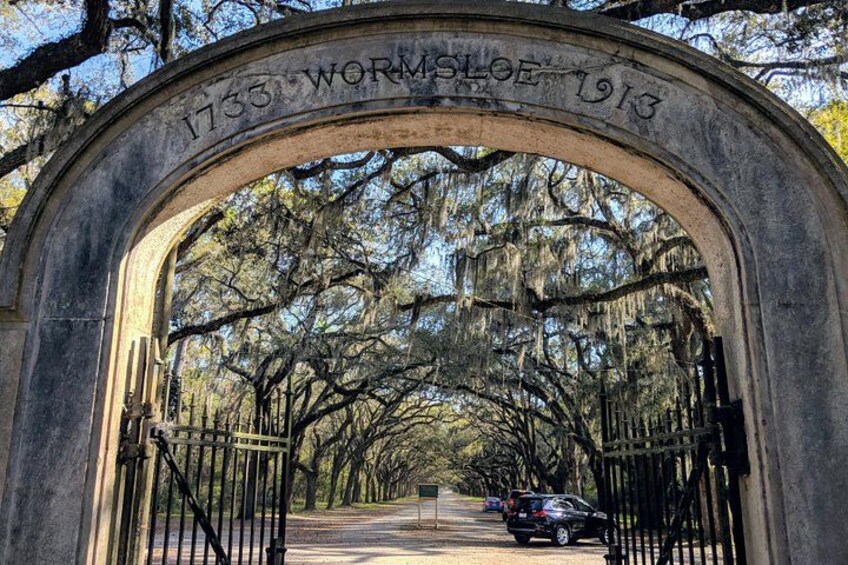 Savannah VIP Tour: Private Full-Day Tour 1