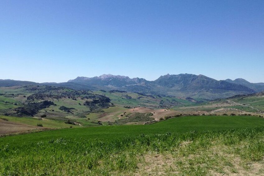 White Villages and Ronda Day Trip from Seville 5