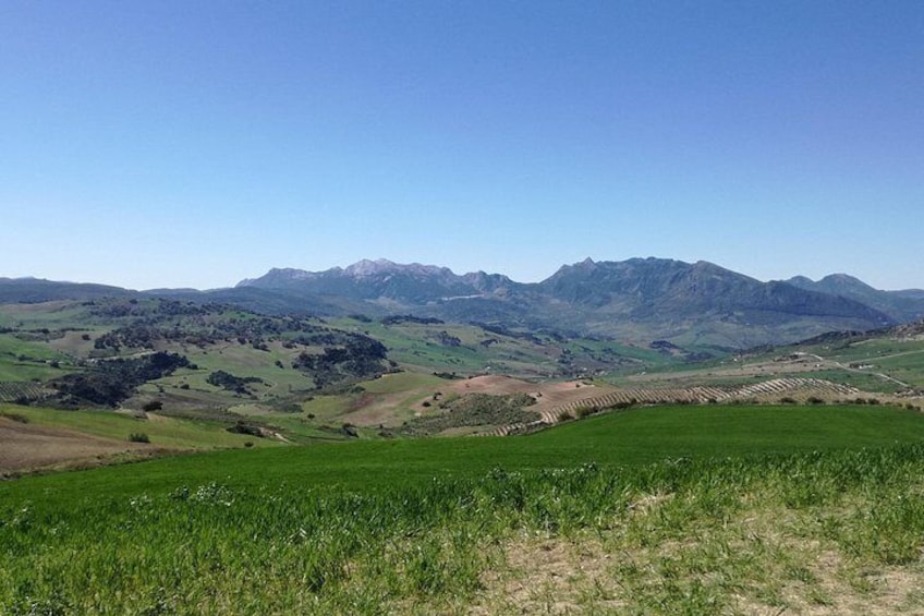 White Villages and Ronda Day Trip from Seville 4