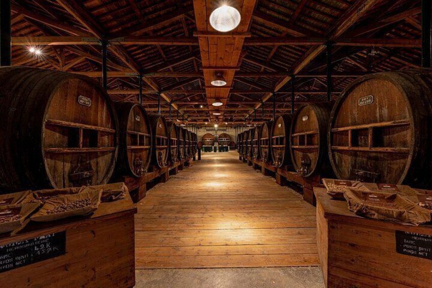 Maison Noilly Prat VIP tour, wine and vermouth tastings 2