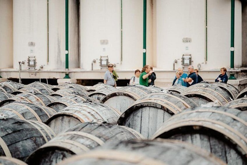 Maison Noilly Prat VIP tour, wine and vermouth tastings 4
