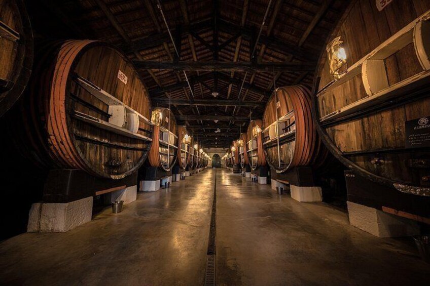 Maison Noilly Prat VIP tour, wine and vermouth tastings 5