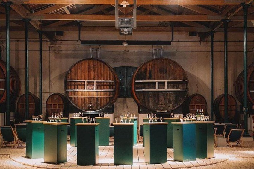 Maison Noilly Prat VIP tour, wine and vermouth tastings 1